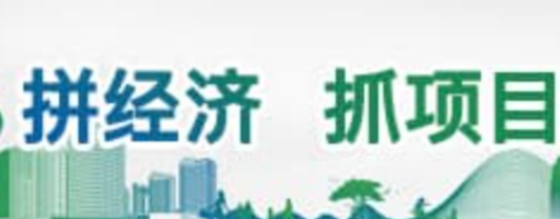 拼经济抓项目